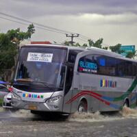 po-budiman-modal-celengan-sampai-700-unit-bus