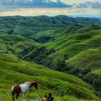 8-destinasi-berbudaya-dan-eksotis-di-sumba