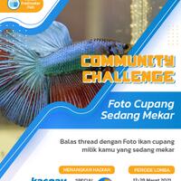 community-challenge-waktunya-cupang-mekar-mampang