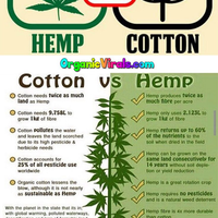 rumah-terkuat-tahan-api--terlentur-ini-terbuat-dari-serat-ganja-ramahkah-rumahnya