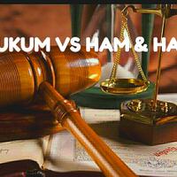 hukum-vs-ham--hab