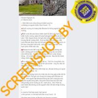 tak-ada-kasus-covid-19-di-bhutan-karena-penduduknya-vegetarian