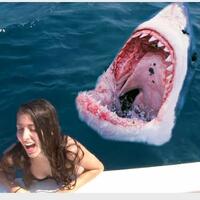 mengenal-anggia-kloer-sekretaris-pribadi-edhy-prabowo