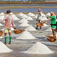 lima-maklumat-petani-garam-nu-atas-rencana-impor-garam