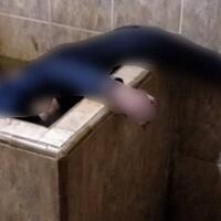 istri-tauke-papan-bunga-meregang-nyawa-di-bak-mandi-diduga-dibunuh-suami