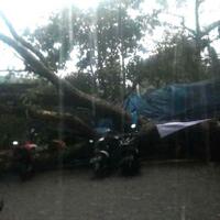 diterjang-hujan-lebat-pohon-tumbang-timpa-warung-makan-di-bandung-5-warga-terluka