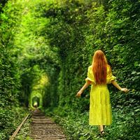 tunnel-of-love-ukraina-terowongan-paling-romantis-di-dunia-favorit-para-pasangan