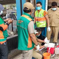 ribuan-ikan-mati-mendadak-di-kali-ancol-sudin-lh-jakut-ambil-sampel-air