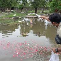 diguyur-hujan-lebat-tpu-semper-terendam-banjir-setinggi-40-cm