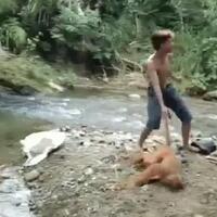 penyiksa-satwa-langka-simpai-di-sumbar-ditangkap