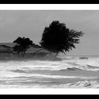 cuaca-ekstrem-di-ntt-sampai-subuh-warga-dievakuasi-ke-gunung