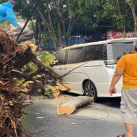 mobil-rusak-tertimpa-pohon-besar-di-kebayoran-eros-djarot-dan-keluarga-selamat
