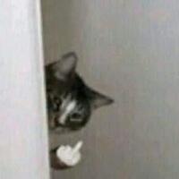 siapa-saja-dalang-penikmat-kerugian-rp-500-triliun-pln