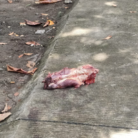 petak-umpet-kematian-payton-leutner-hampir-jadi-tumbal-slender-man