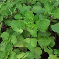 android-photography----part-1