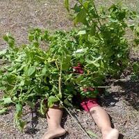 sekeluarga-jadi-korban-tabrak-lari-anak-dan-ayah-tewas-sang-ibu-sekarat