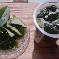 menu-takjil-sederhana-es-cincau-hijau-pilihannya