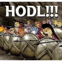 mohon-maaf-investor-latah-bitcoin-di-ambang-bubble--crash