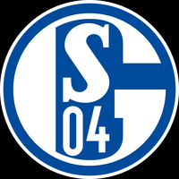 sudah-degradasi-pemain-schalke-04-diserang-fans-yang-emosi