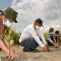 pemulihan-ekosistem-mangrove-butuh-komitmen-semua-pihak