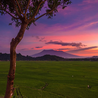 pondok-teh-talua-tapai-luak-ladang-kedai-asyik-buat-ngabuburitnya-kaum-introvert