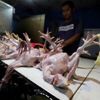 dipicu-kenaikan-harga-daging-inflasi-april-diperkirakan-017