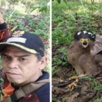 bksda-cari-pengunggah-foto-burung-elang-ditembak-di-bengkulu-utara