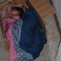 diwadahi-kardus-bayi-laki-laki-dibuang-hidup-hidup-disebuah-rumah-kosong