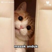 bayi-laki-laki-ditemukan-di-pinggir-kali-jelawai-jaksel-dalam-kondisi-hidup