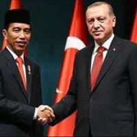 soal-palestina-sikap-jokowi-lebih-genuine-dibanding-erdogan