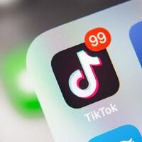 duh-ada-lagi-hina-palestina-lewat-tiktok-kali-ini-siswi-di-bengkulu