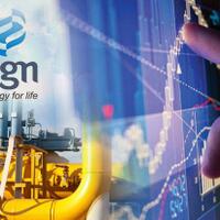 pgn-tahun-ini-fokus-transformasi-digital