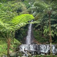 yuk-nikmati-indahnya-curug-ngumpet-pamijahan-airnya-halus-bak-embun-beterbangan