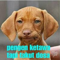 bela-palestina-ribuan-orang-bakal-demo-di-kedubes-amerika-serikat-jumat-besok