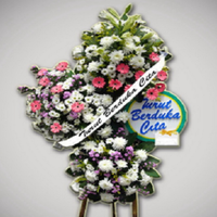 wagub-papua-klemen-tinal-meninggal-dunia-kemendagri-berduka