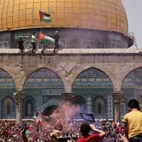 anggota-dpr-minta-pemerintah-tetapkan-regulasi-dana-untuk-palestina