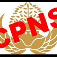 dewan-ingatkan-rekrutmen-4774-cpns-dan-pppk-berjalan-transparan