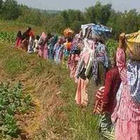 ada-kalamaran-tradisi-di-madura-menjelang-pernikahan