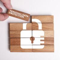 ruu-pdp--calon-pasal-karet-uu-ite-baru