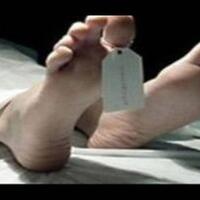 tersengat-listrik-saat-potong-dahan-nangka-warga-blitar-tewas