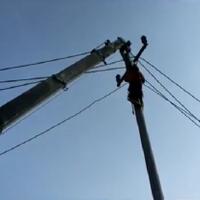 video-viral-di-medsos-sejumlah-tiang-listrik-di-blora-roboh-di-tengah-sawah