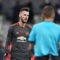 de-gea-apes