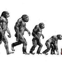 google-sarankan-keffiyeh-palestina-sebagai-simbol-terorisme-netizen-marah-besar