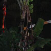 evakuasi-helikopter-yang-jatuh-di-danau-buperta-cibubur-sekitar-40-menit