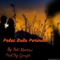 pelet-bulu-perindu