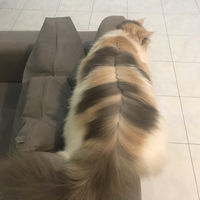 fresh-chapter-of-dear-diary---part-2