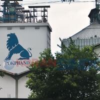 emiten--asal--thailand-ini-tangguk-untung-rp384-triliun