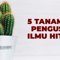 5-tanaman-penangkal-yang-biasa-di-gunakan-untuk-mengusir-ilmu-hitam