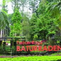 kebun-raya-baturraden-di-banyumas-kebun-raya-pertama-di-provinsi-jawa-tengah