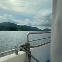 review-kumpulan-review-gitar-elektrik